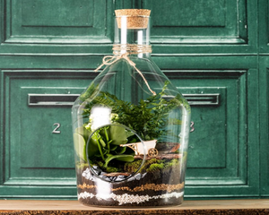 Glas terrarie - Perfekt til grønne kreative DIY projekter